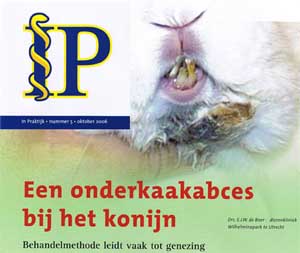 Evert-Jan de Boer heeft een artikel over een onderkaakabces bij het konijn geschreven